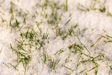 The first snow fell to the ground