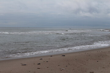 beach and sea