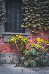 The detail of architecture in Xintiandi, the landmark in Shanghai, China.