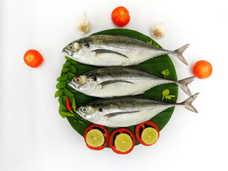 Close up view of fresh Finletted Mackerel Fish/ Torpedo Scad Fish decorated with curry leaves , tomato,lemon slice and herbs on a white Background.Selective Focus.