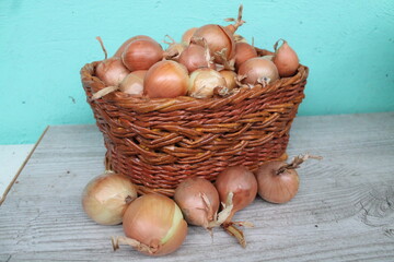 onion in basket