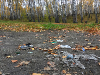plastic and glass in the forest, in the lake, garbage in nature, ecology in danger