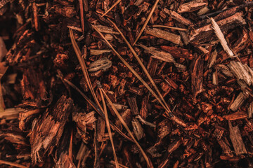Forest background of small brown rotten wood pieces and pine needles covering the ground.