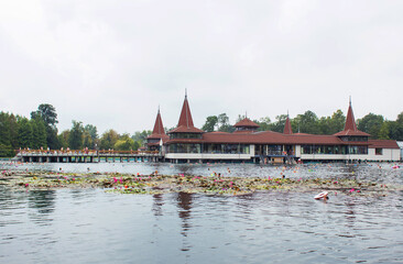 Heviz Thermal Lake Resort in Hungary, where people swimming in hot balneal thermal bath . It is the...