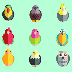 set of birds. vector illustration.
