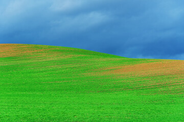 color; hillside; farmland; tranquil; hilly; europe; grass field; green field; season; travel; nobody; idyllic; sunlight; pasture; farming; growth; landscape; nature; country; countryside; green; summe
