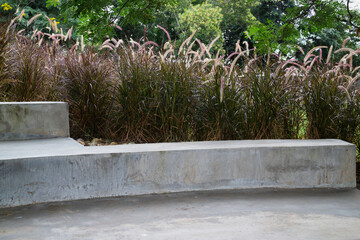 Fototapeta premium Relaxing seat of reeds grass flower