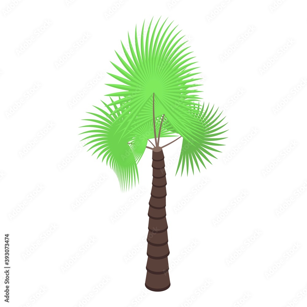 Poster palm tree island icon. isometric of palm tree island vector icon for web design isolated on white ba