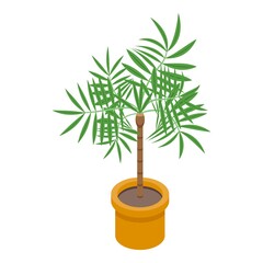 Fototapeta na wymiar Palm tree pot icon. Isometric of palm tree pot vector icon for web design isolated on white background