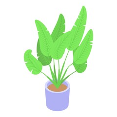 Floristic tropical plant pot icon. Isometric of floristic tropical plant pot vector icon for web design isolated on white background