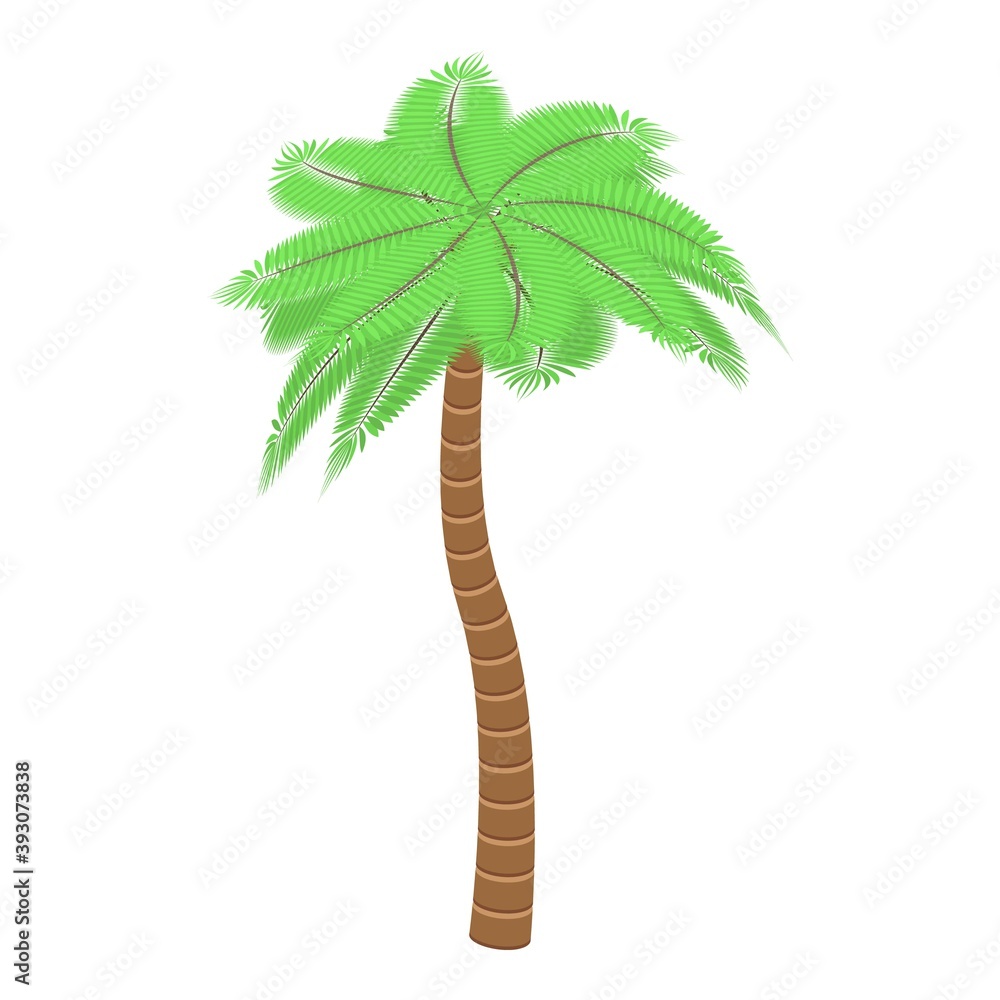 Poster nature palm tree icon. isometric of nature palm tree vector icon for web design isolated on white ba