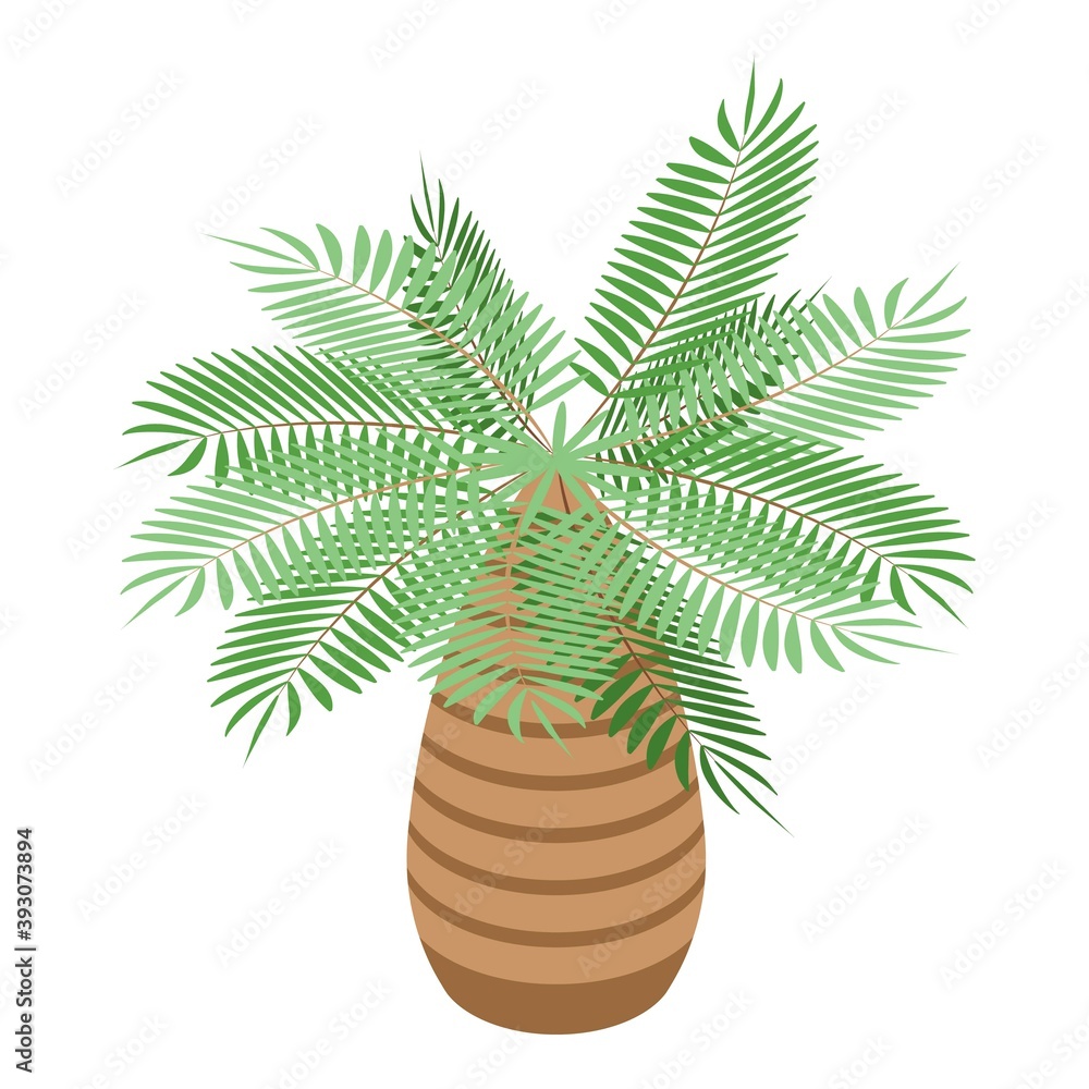 Poster tropical palm tree icon. isometric of tropical palm tree vector icon for web design isolated on whit