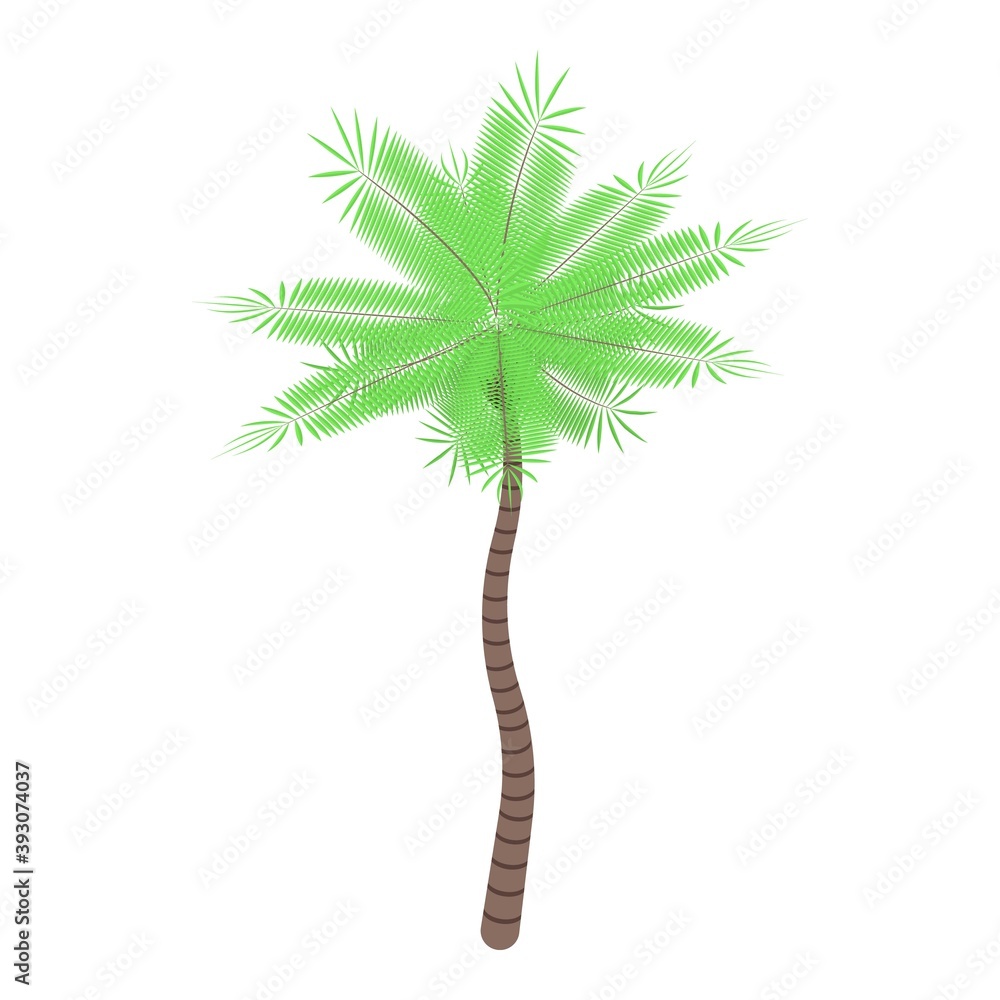 Poster jungle palm tree icon. isometric of jungle palm tree vector icon for web design isolated on white ba