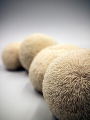 Korean deer rump mushrooms(Hericium erinaceum)