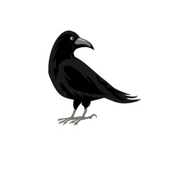 Vector image of a raven profile isolated on the white background