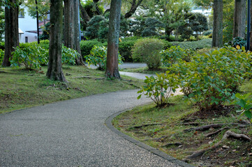 Fototapeta premium 秋の夕暮れの散歩道