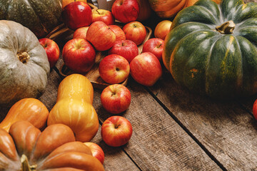 Autumn harvest of pumpkins and apples on wooden board