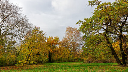 Bois de Vincennes during fall season