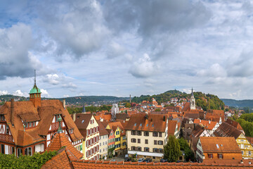 Fototapeta na wymiar view of Tubingen, Germany