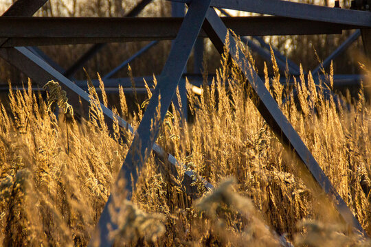 power transmission tower and dried grass