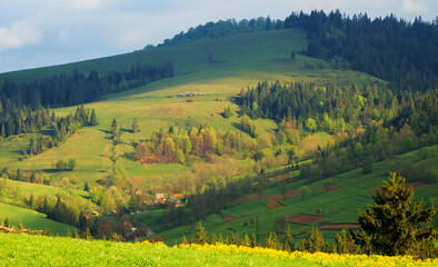 Early in the morning on the multi-colored diagonal Carpathian Mountains