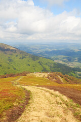 Obraz premium Spring landscape with the mountain road in the Carpathian mountains.