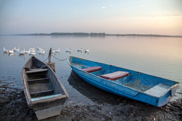 Naklejka na ściany i meble Foggy dawn over the lake. Boats on the shore. Ducks sail next to the boat.