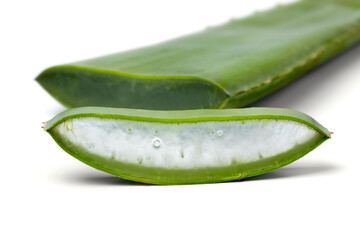 Green leaf of aloe vera and slice on white background close up