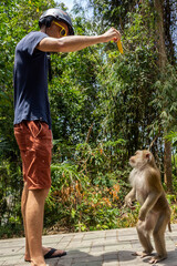 monkey try to get a banana