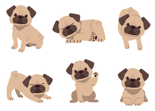 The collection of cute pug dog in flat vector style. Graphic resource about dog for graphic,content , banner, sticker label and greeting card.