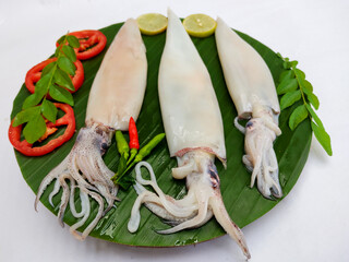 Close up view of fresh raw whole cleaned Loligo Squid (Loligo Duvauceli) decorated with curry...