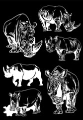 Vector set of rhinoceroses isolated on black background,  illustration