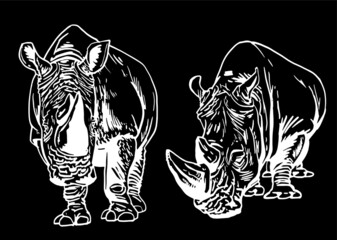 Vector set of rhinoceroses isolated on black background,  illustration