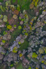 Springtime, Tarrueza, Laredo, Montaña Oriental Costera, Cantabria, Spain, Europe