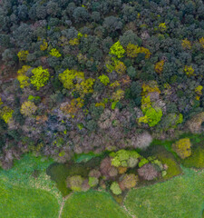 Springtime, Tarrueza, Laredo, Montaña Oriental Costera, Cantabria, Spain, Europe