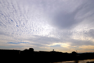 Cirrocumulus floating in the sky in the evening