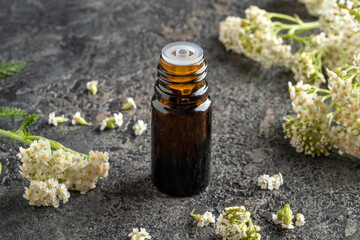 A dark bottle of essential oil with fresh blooming yarrow twigs