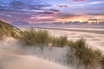 Poster de jardin Mer du Nord, Pays-Bas Vue depuis la dune sur la mer du Nord