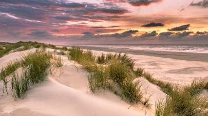 Papier Peint photo Lavable Mer du Nord, Pays-Bas View from dune top over North Sea