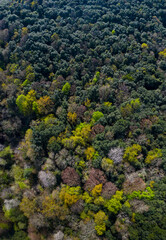 Springtime, Tarrueza, Laredo, Montaña Oriental Costera, Cantabria, Spain, Europe