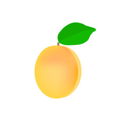 Delicious apricot icon