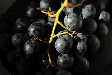Fresh dark red grapes close up