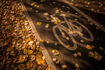 Bicycle lane symbol in a park