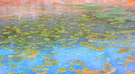Frozen bubbles and algae on the water surface  - Bubbles trapped in frozen water at Lake