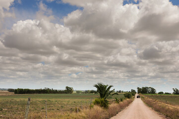 Lonely road going towards the horizon with some palm trees next to road, with a very overcast sky....