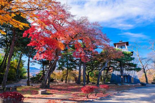 70 Best 真田信之 Images Stock Photos Vectors Adobe Stock 70 Best 真田信之 Images Stock Photos Vectors Adobe Stock