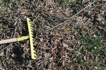 Cleaning of autumn leaves