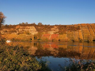 Weinberge am Neckar im Herbst