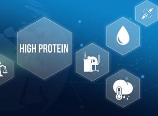 high protein