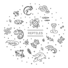 Reptiles and amphibians icons set. Line design